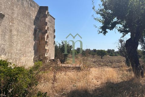 Ruinere i Carovigno, Brindisi, Carovigno - € 385.000 | Ref: Proprietà Pinea - foto 36